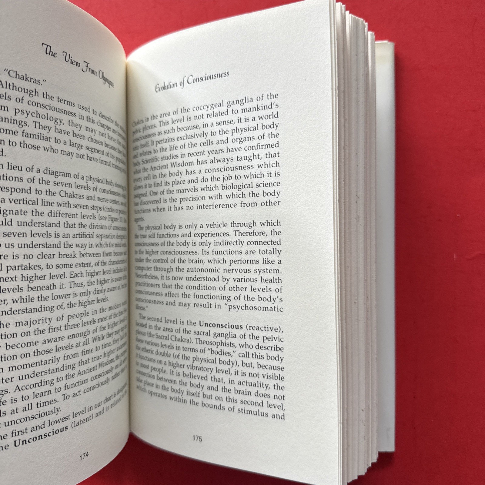 THE VIEW FROM OLYMPUS: A NEW GNOSTIC GOSPEL By D. H. Lloyd – Hardcover RARE