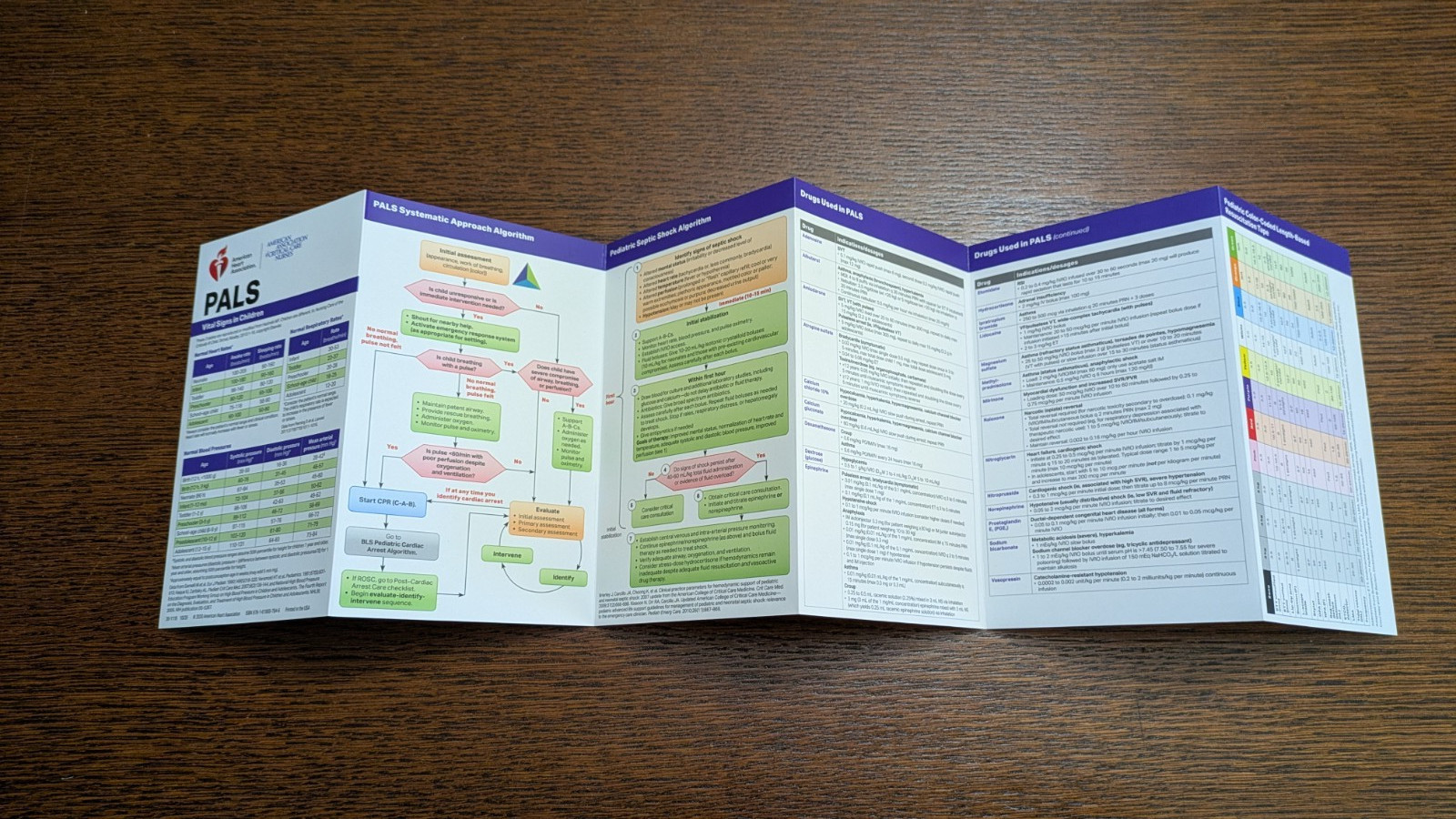 Pediatric Advanced Life Support Provider Manual + PALS – AHA – TPB GC