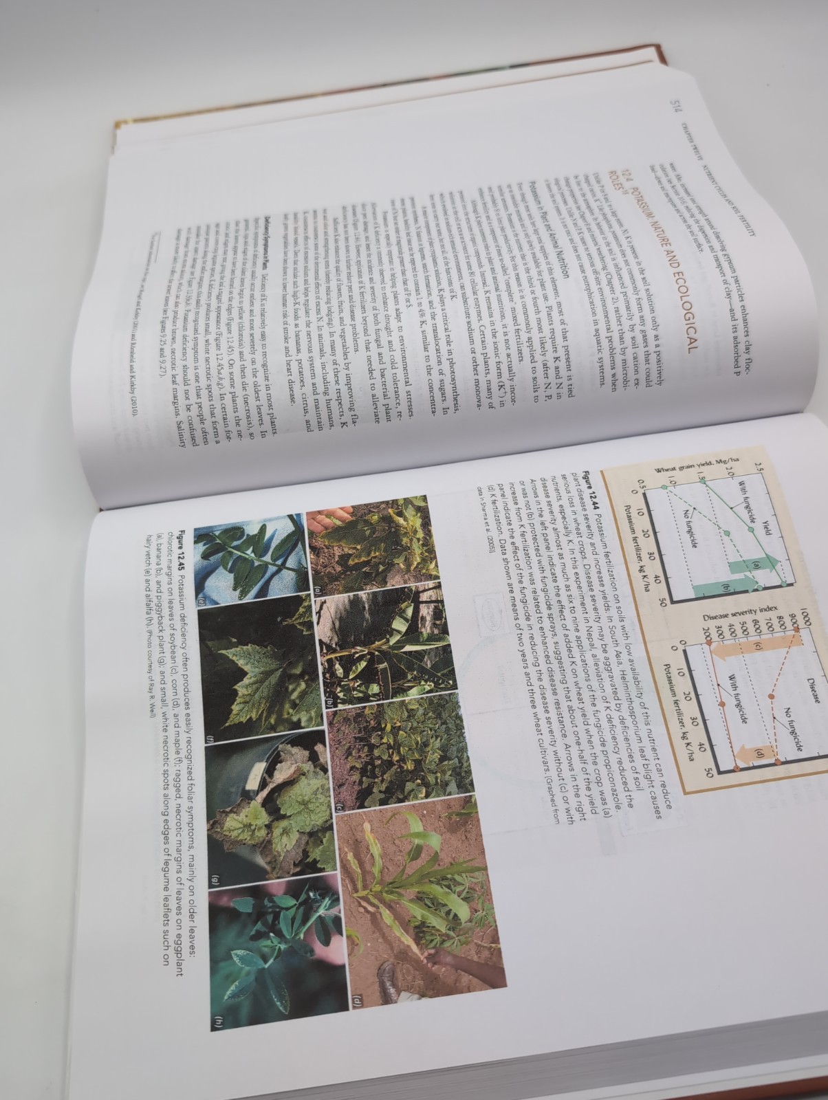 Elements of the Nature and Properties of Soils by Ray Weil and Nyle Brady (2018,