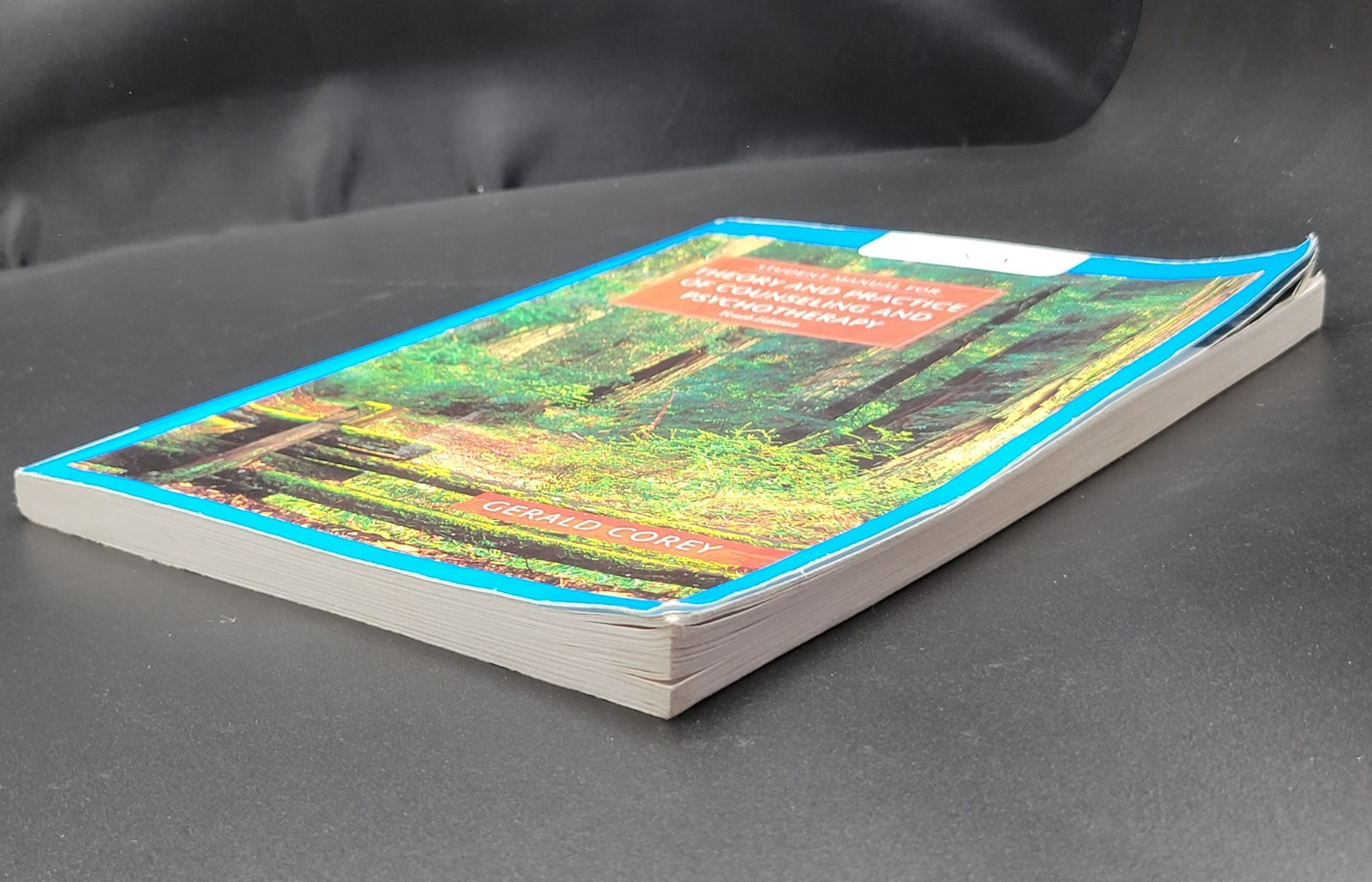 Student Manual for Theory & Practice of Counseling & Psychotherapy 10th Ed