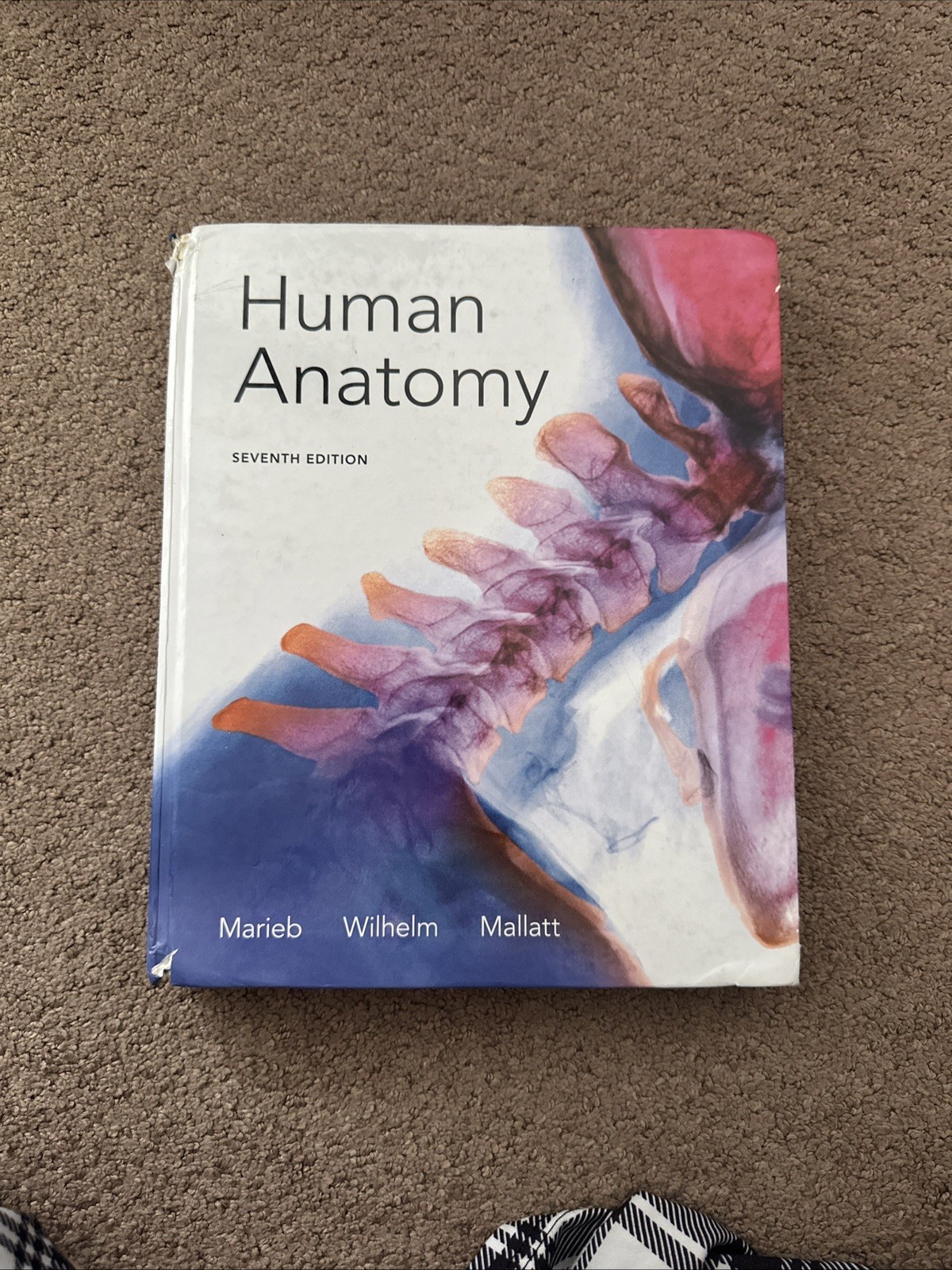 Pearson Human Anatomy 7th Edition Hardcover 2012 Marieb Wilhelm Mallatt