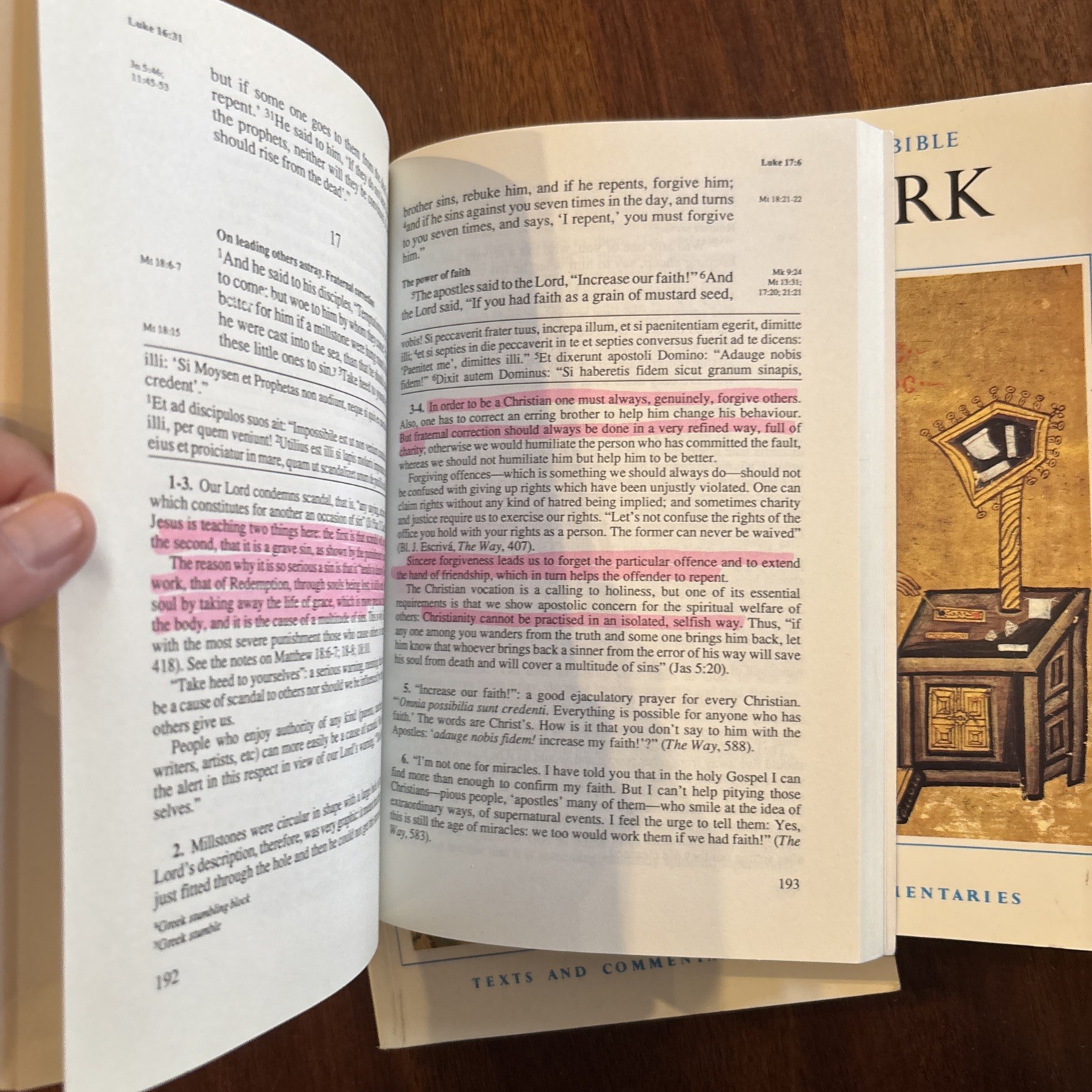 Navarre Bible 3 Book Lot Matthew Mark Luke 1993 Four Courts Commentaries. Read