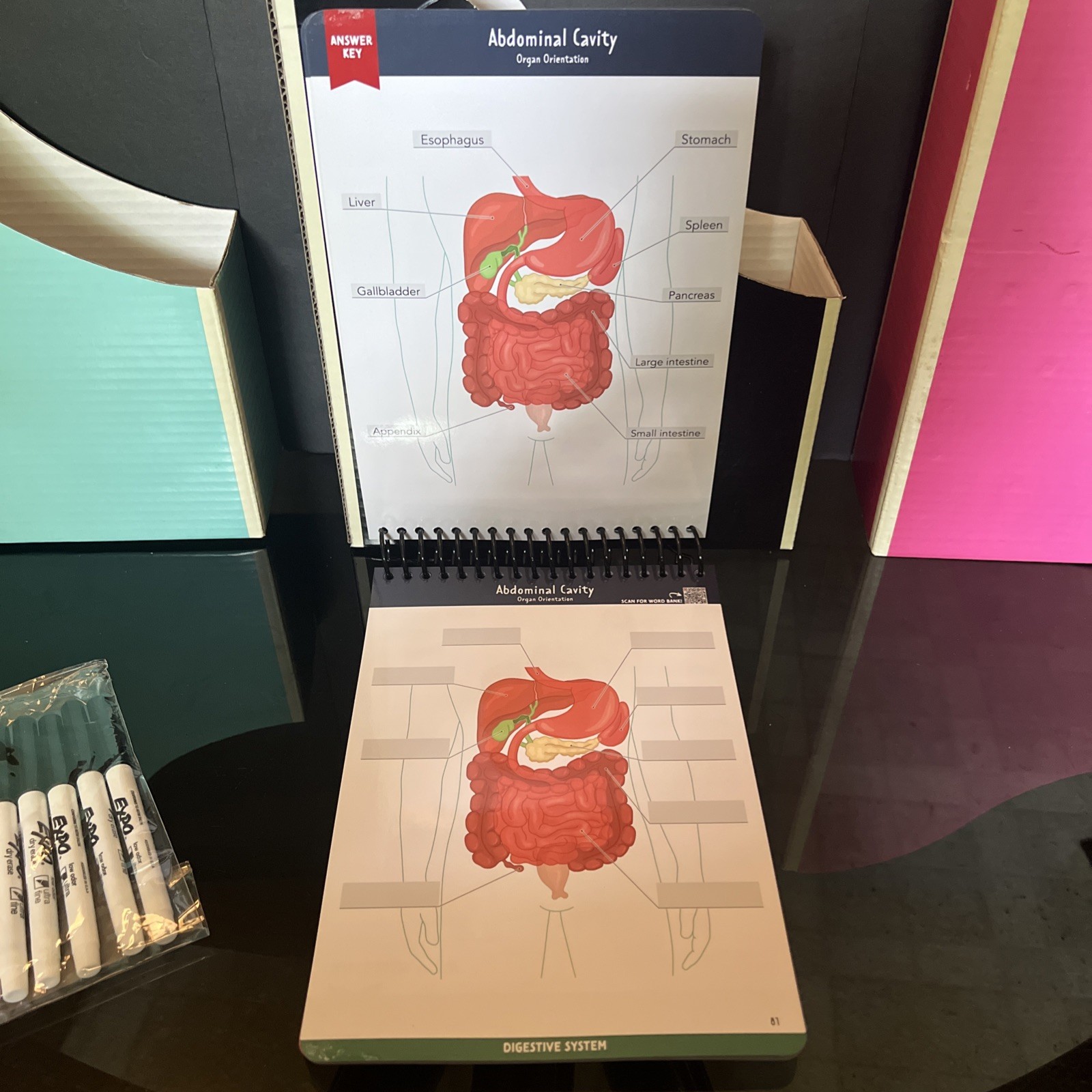 Nurse In The Making Anatomy Label Lab Workbook Laminated Spiral Bound