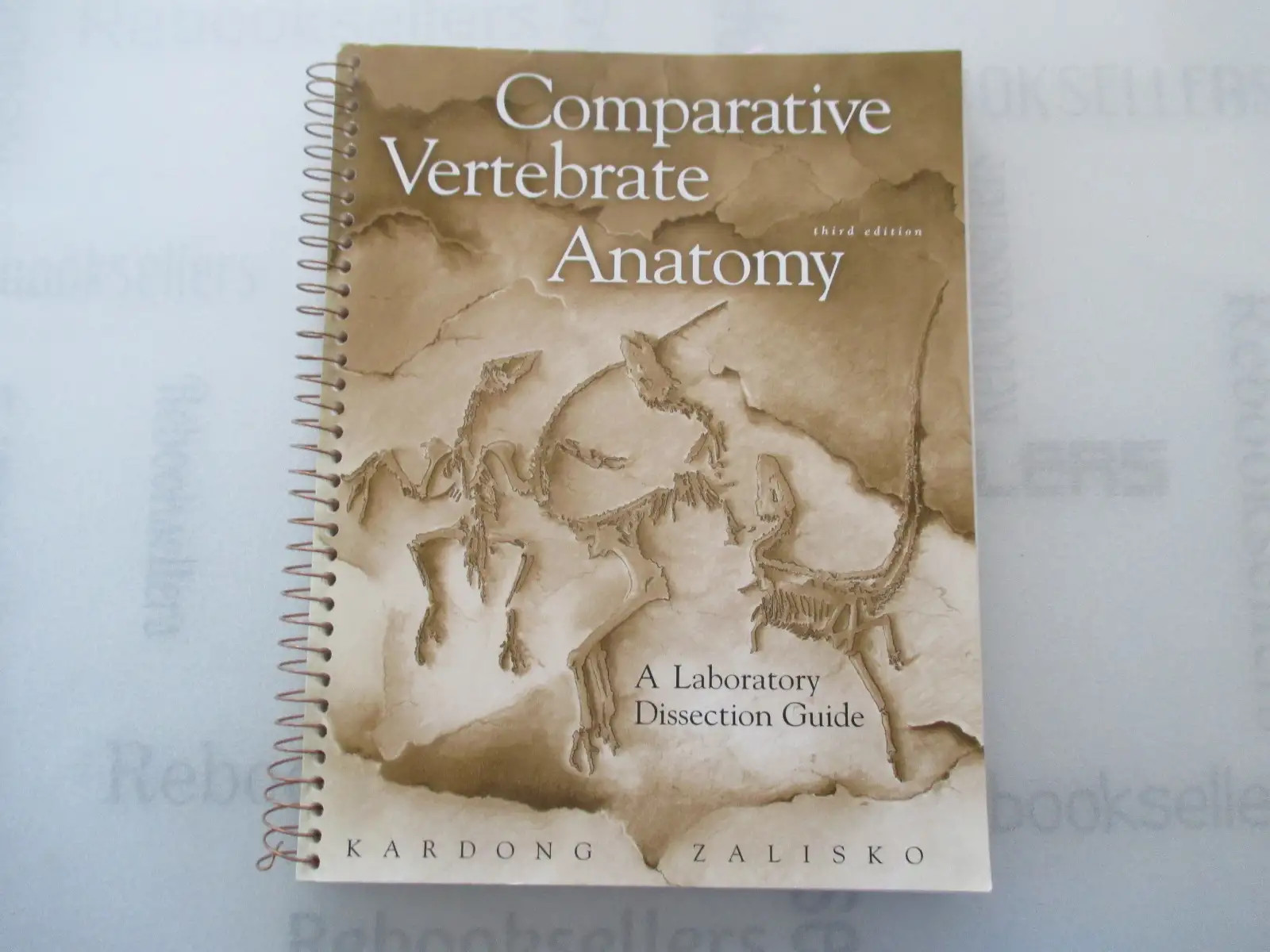 Comparative Vertebrate Anatomy: Lab Dissection Guide
