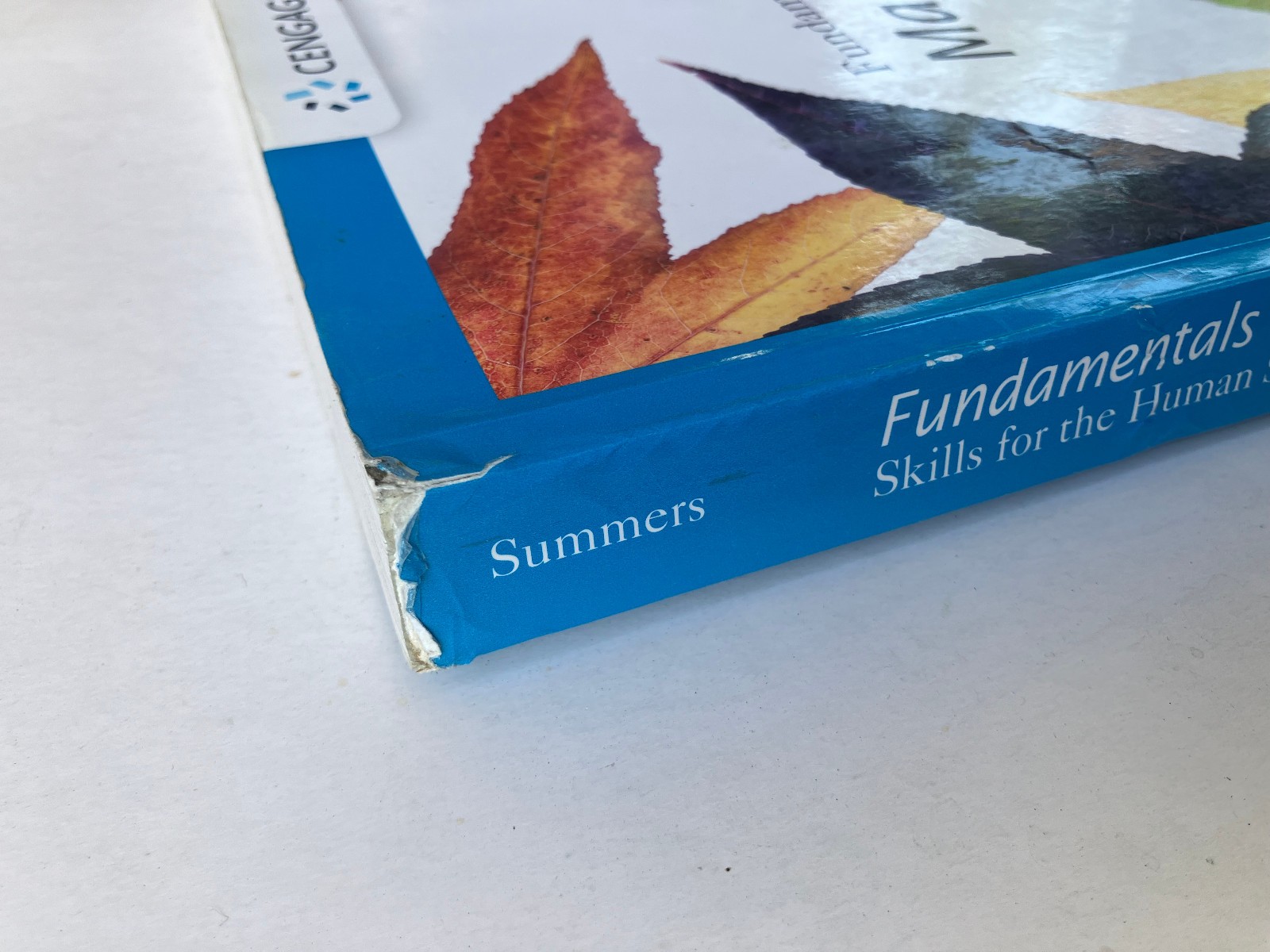 Fundamentals of Case Management Practice: – Paperback, by Summers Nancy