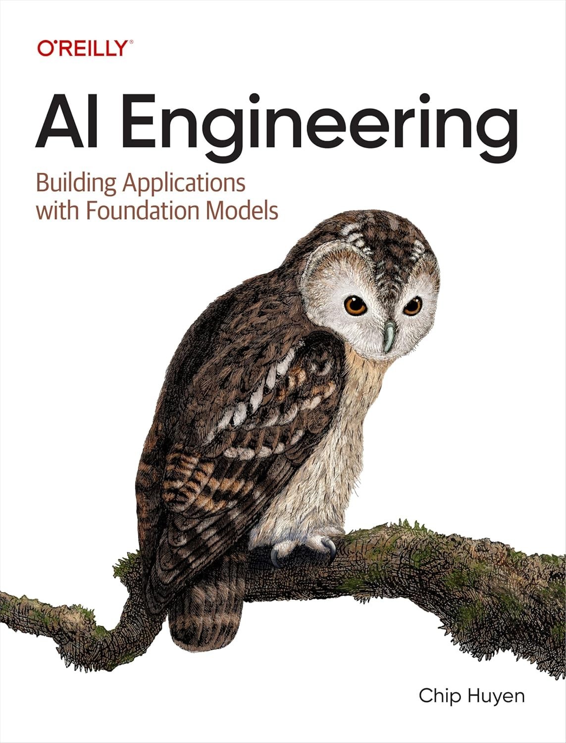 AI Engineering: Building Applications with Foundation Models PB USA STOCK UPS