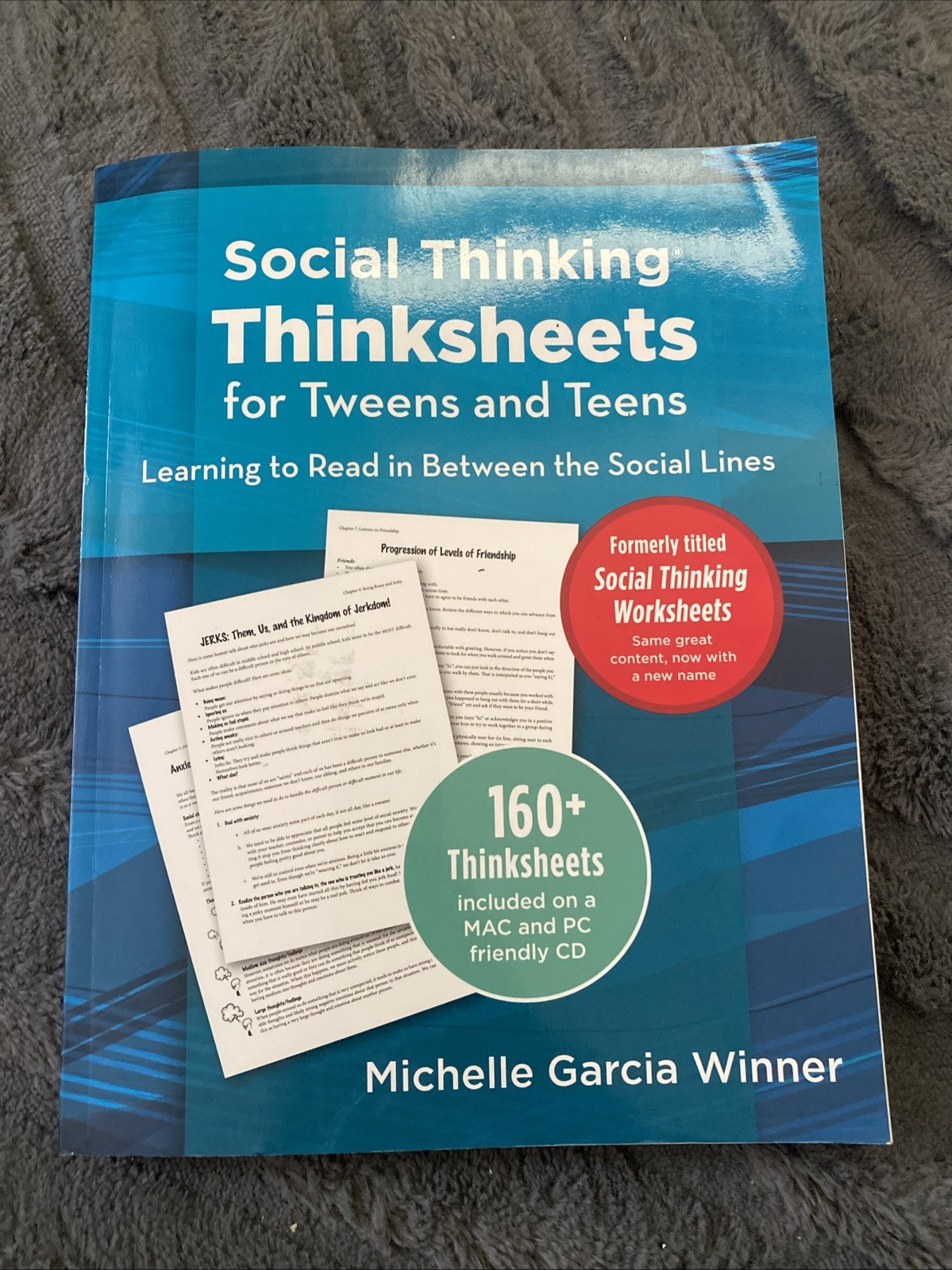 SOCIAL THINKING THINKSHEETS FOR TWEENS AND TEENS LEARNING By Michelle Garcia
