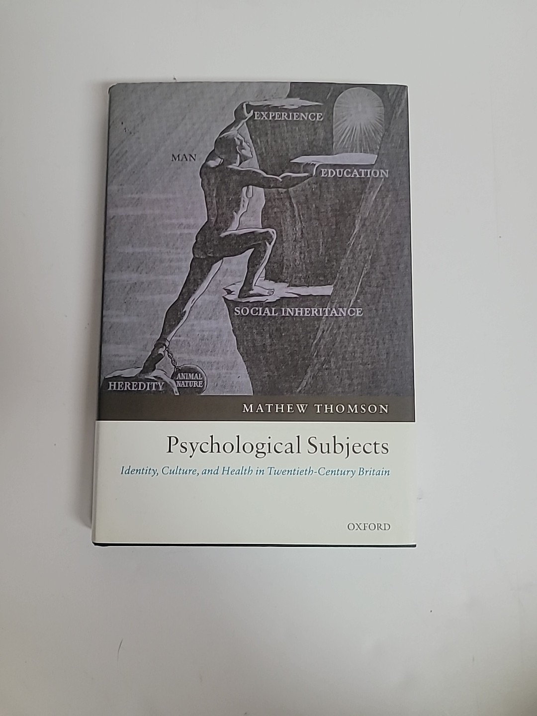 Psychological Subjects : Identity, Culture, and Health in Twentie