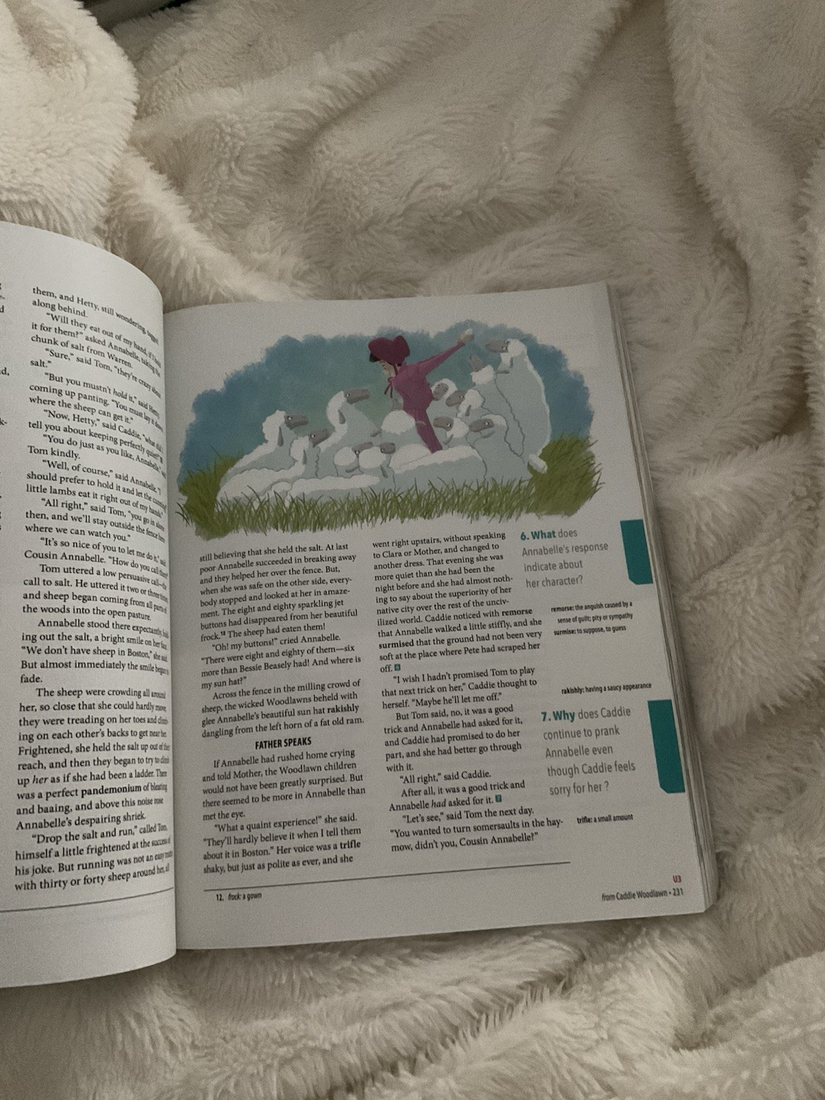 BJU Press Literature Textbook Illustrated English Book by Bju Staff