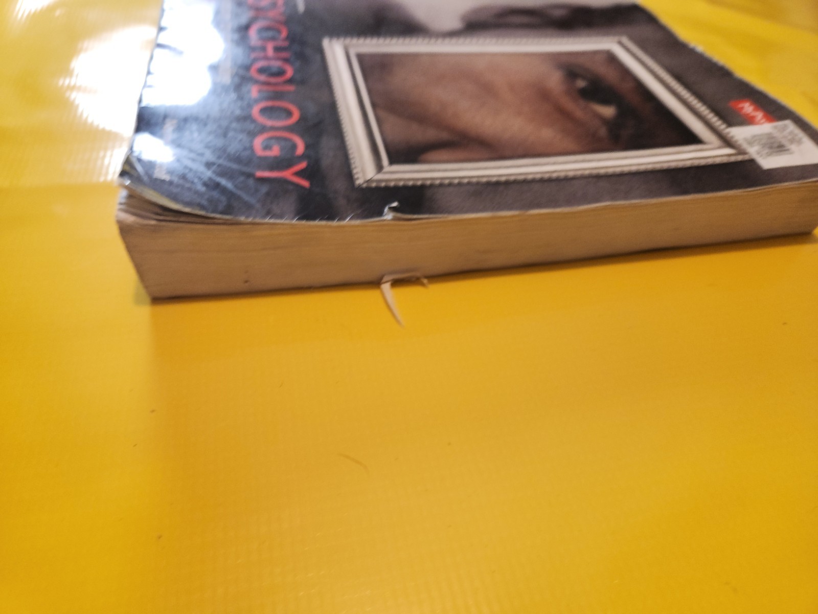 Psychology (Tenth Edition) — David G. Myers — Hardcover — Intro Psych Textbook —