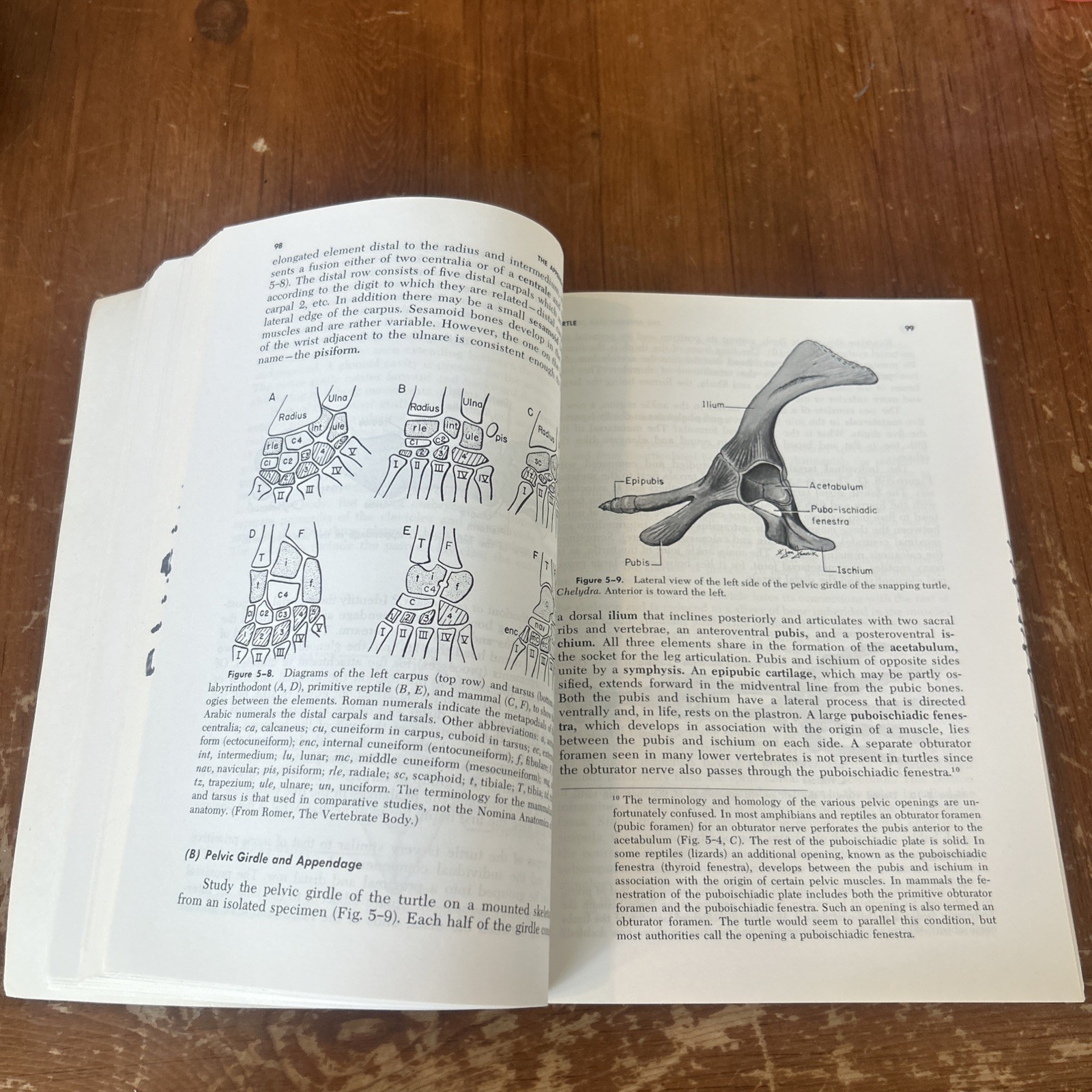 Vertebrate Dissection by Warren Walker Fourth Edition 1970