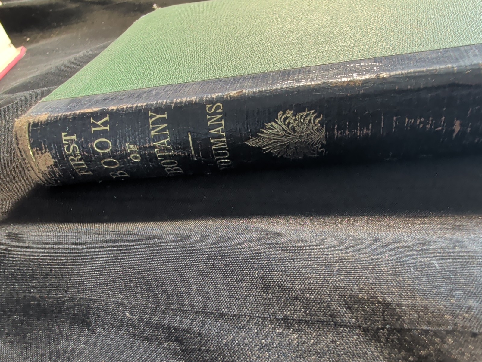 1872 First Book of Botany by Eliza A Youmans, Illustrated Hardcover 202 pages