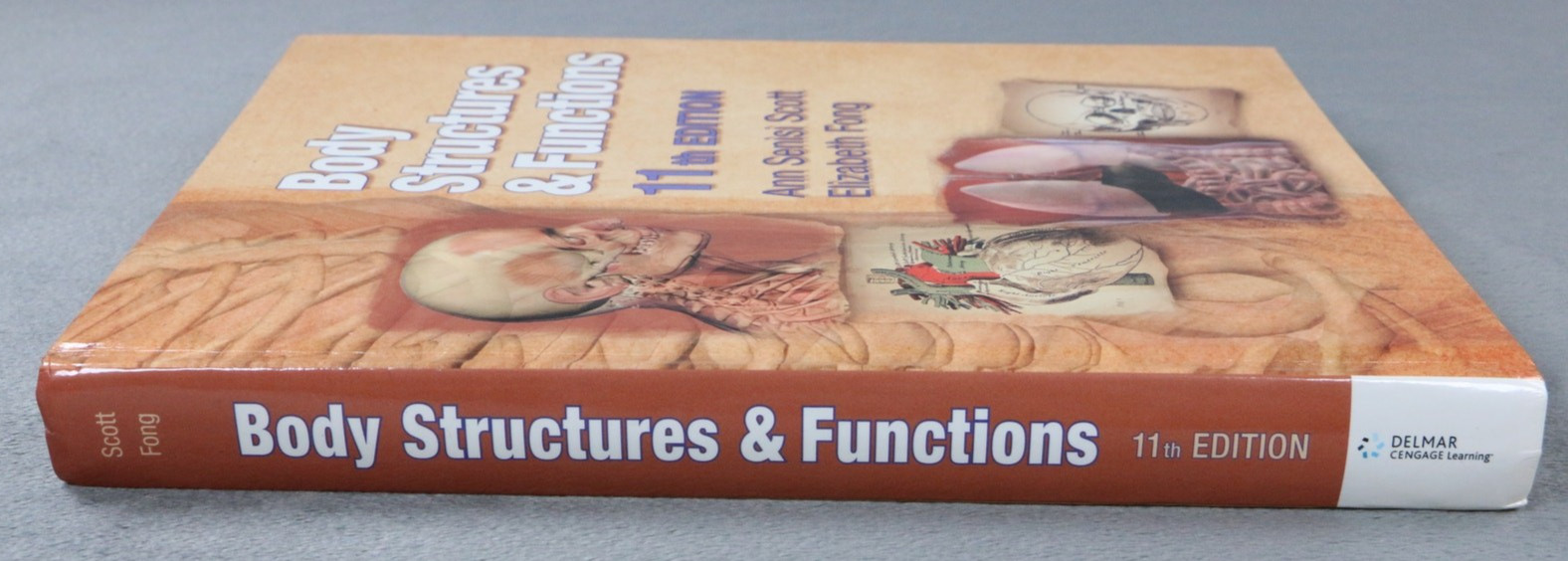 Body Structures & Functions 11th Edition Anatomy Textbook Scott Fong CNA Nursing