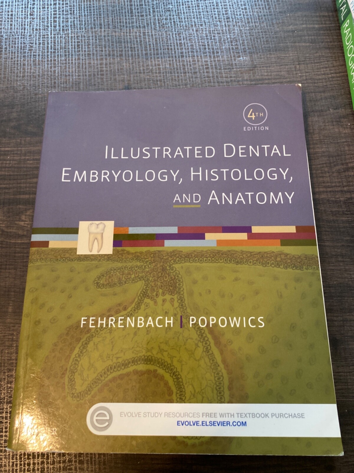 Illustrated Dental Embryology, Histology, and Anatomy by Margaret J. Fehrenbach