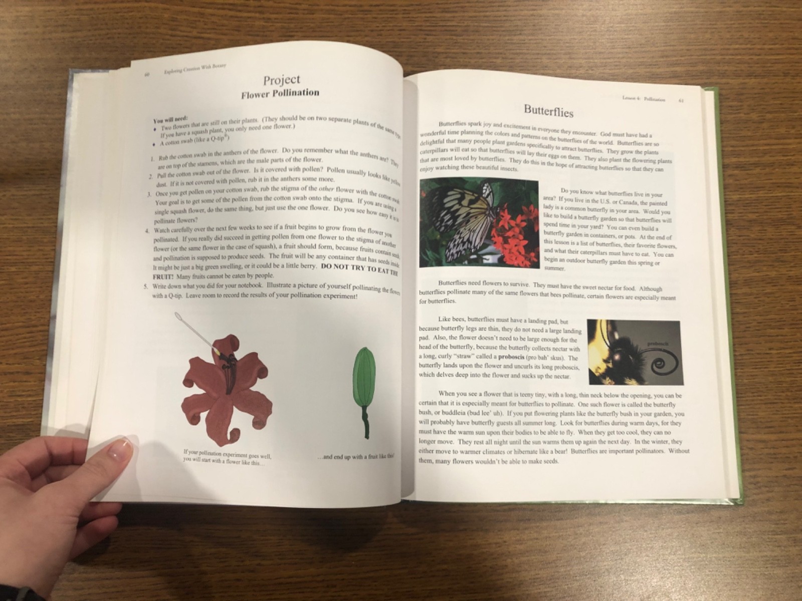 Young Explorer Series: Exploring Creation with Botany Textbook-Jeannie Fulbright