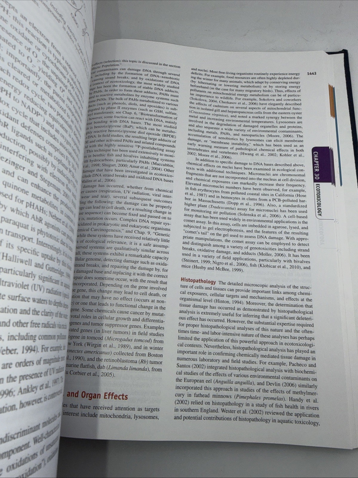 Casarett & Doull’s Toxicology: the Basic Science of Poisons, Ninth Edition by…
