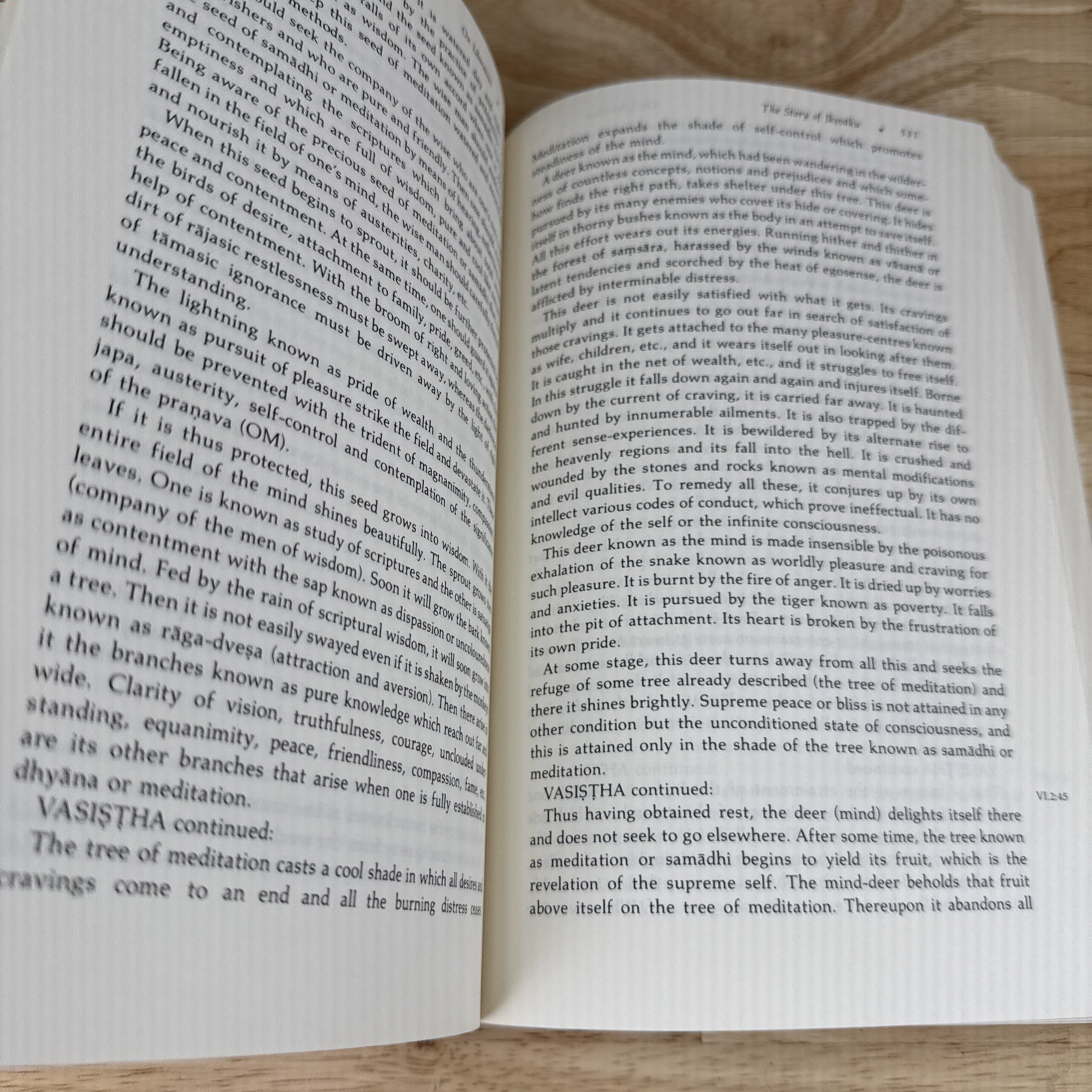 Vasistha’s Yoga SUNY New York Press Paperback Swami Venkatesananda 1993
