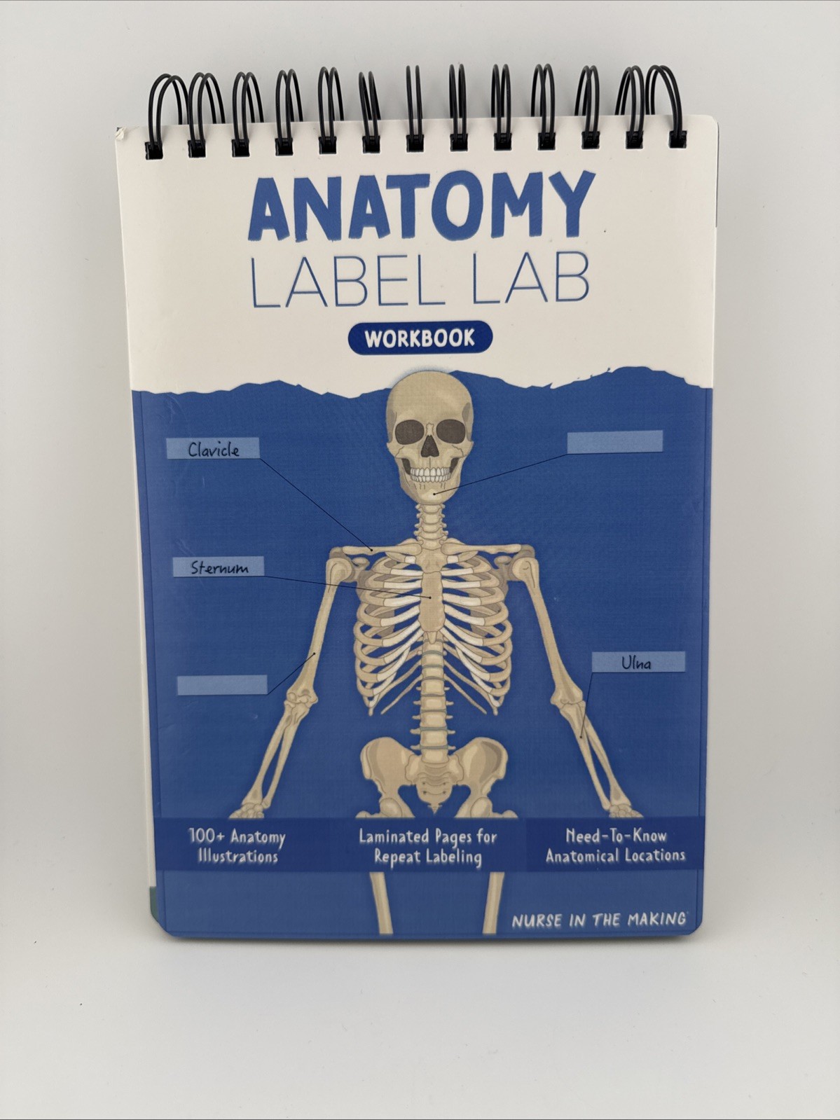Human Anatomy Label Lab Workbook Medical Students 100+ Illustrations Laminated