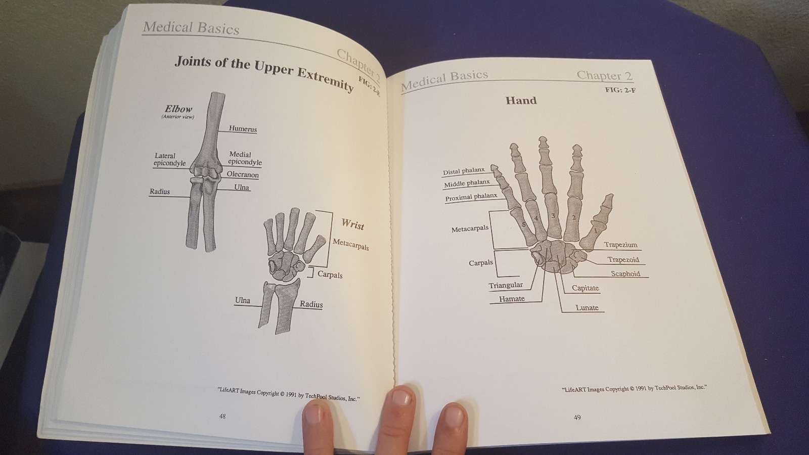 1996 MEDICAL BASICS Paperback Book by LINDA GIFFORD-MEULEVELD