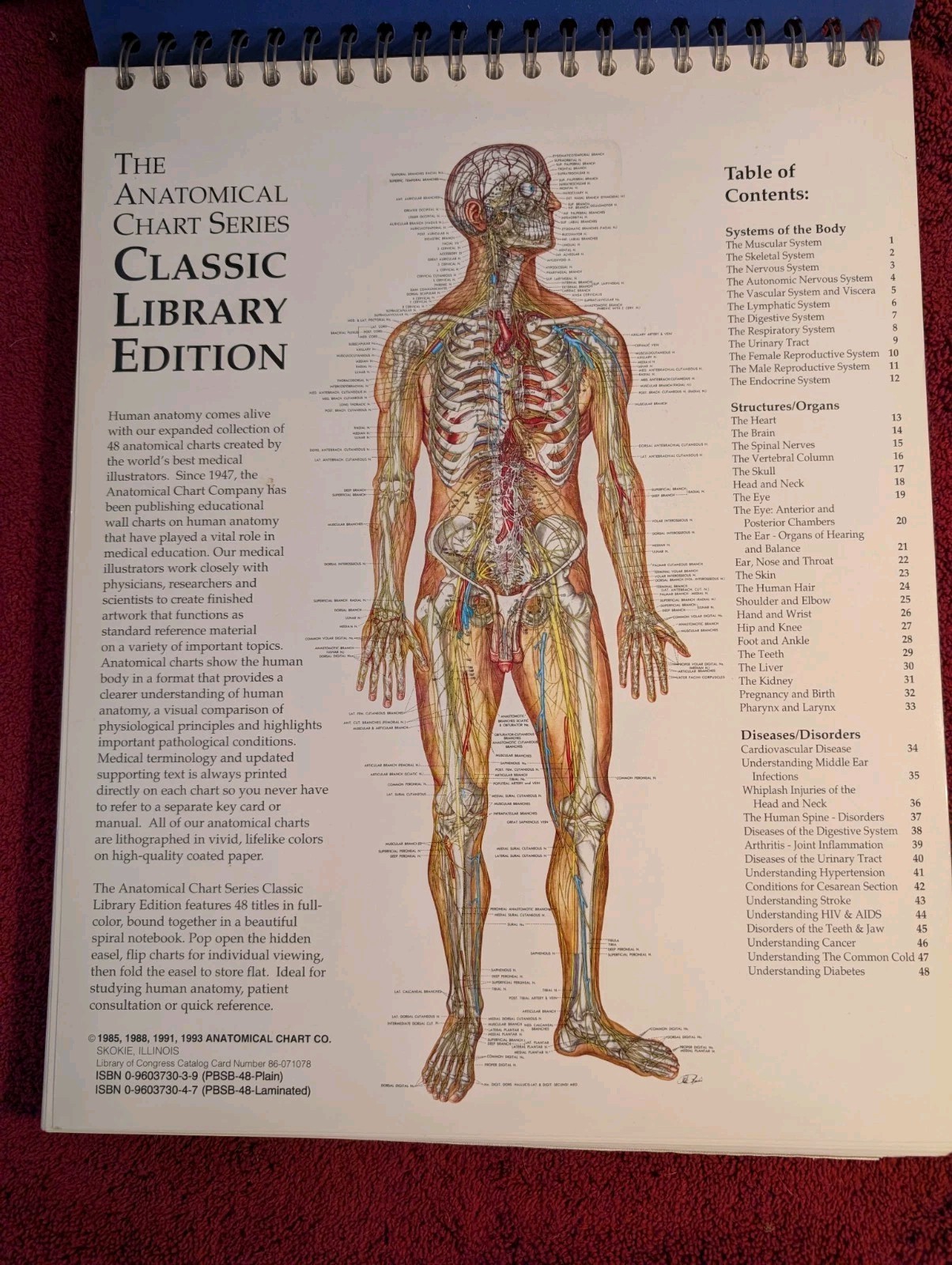 The Anatomical Chart Series Classic Library Edition 11×15 –Laminated Pages