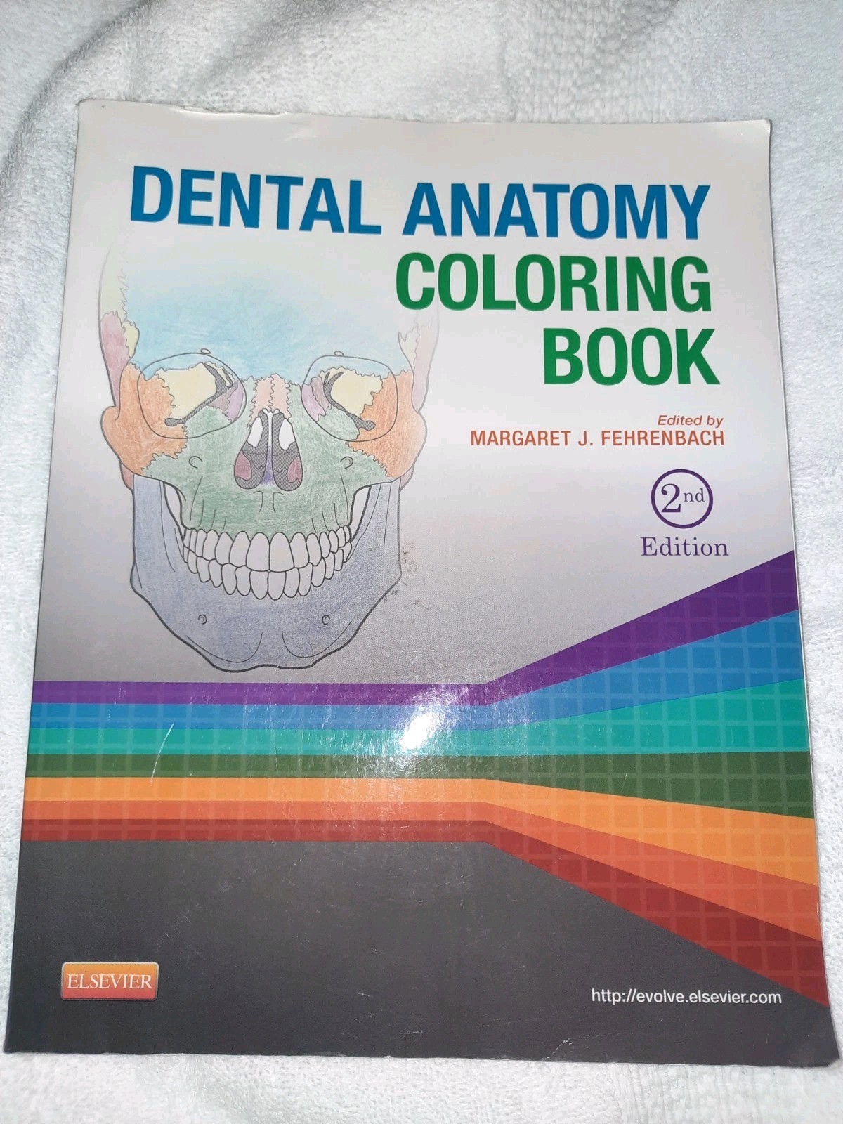 Dental Anatomy Coloring Book by Margaret J. Fehrenbach (2013, Trade Paperback)