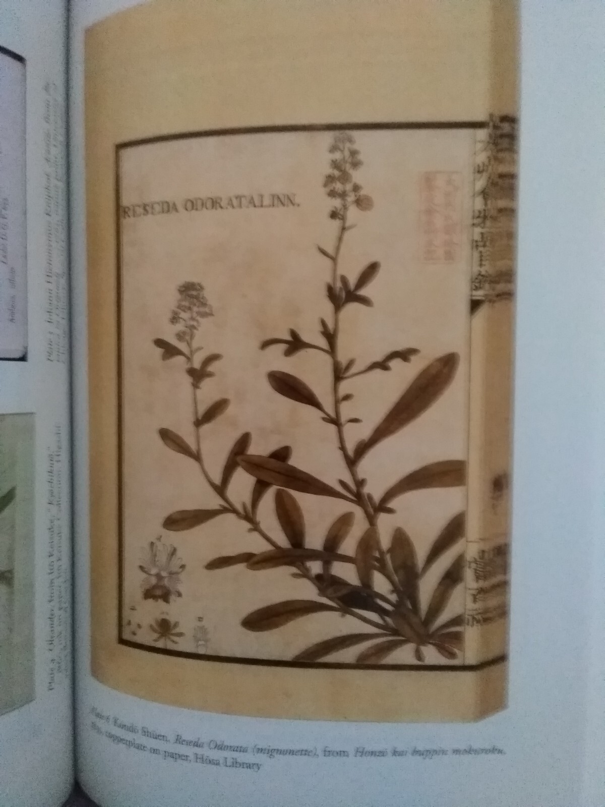 The Premise of Fidelity: Science, Visuality, Representing Real 19th C. Japan