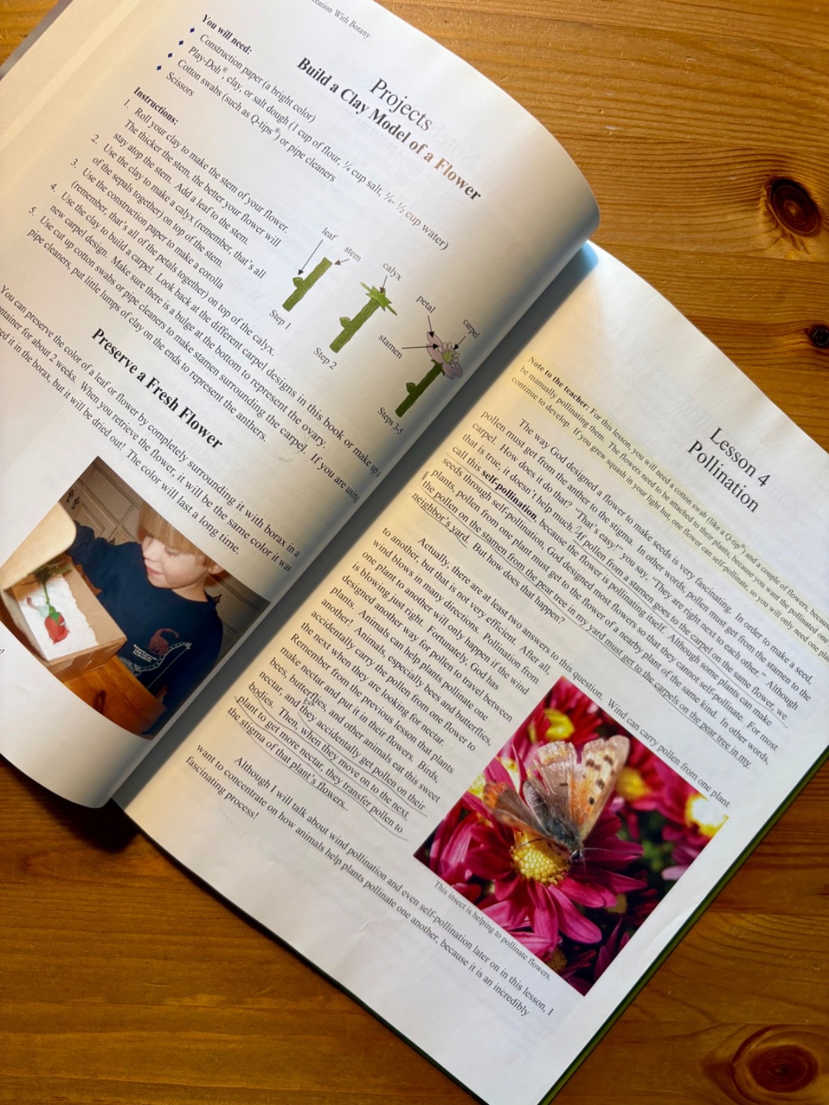 Young Explorer Series: Exploring Creation with Botany Textbook-Jeannie Fulbright