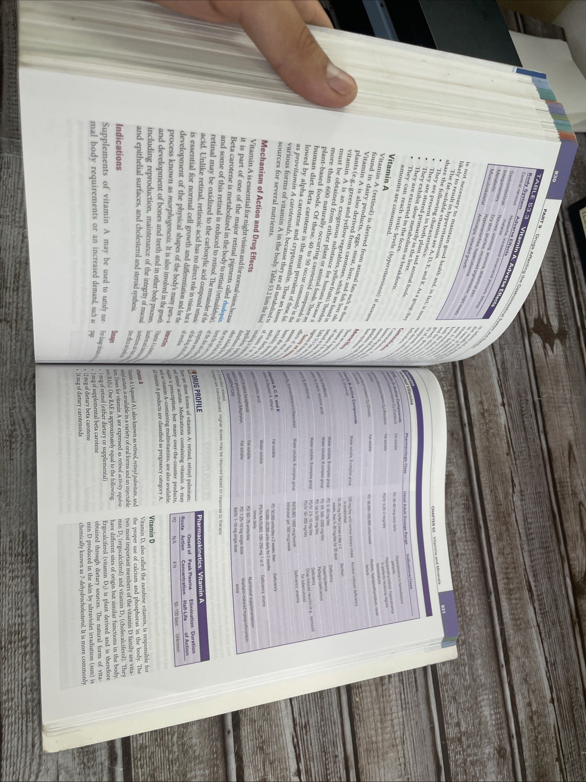 Pharmacology and the Nursing Process: Tenth Anniversary Edition 2023 Paperback