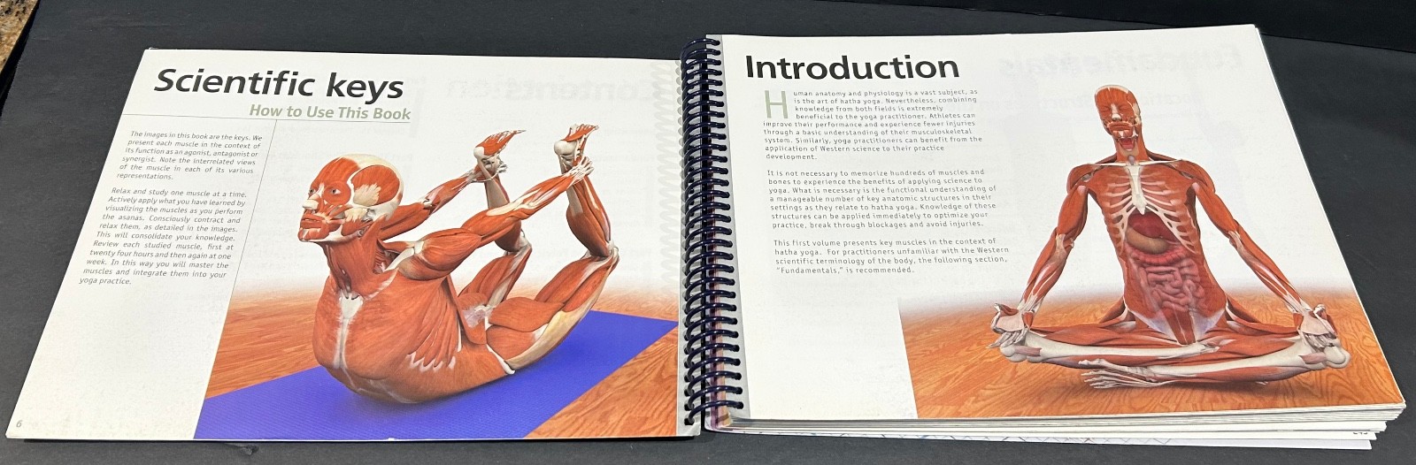 The Key Muscles of Hatha Yoga (Scientific Keys) By Ray Long Spiral Bound GOOD