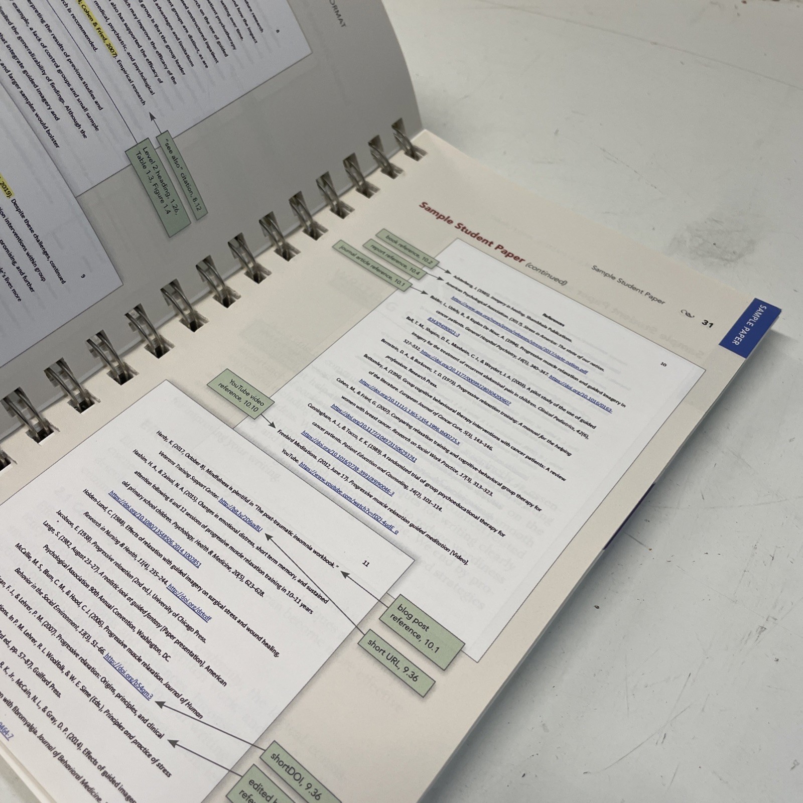 Concise Guide to APA Style: 7th Edition (OFFICIAL) (d2)