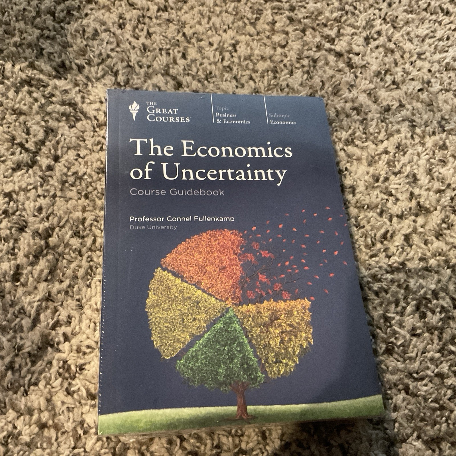 The Great Courses: The Economics of Uncertainty (DVD/Guidebook) Brand New Sealed
