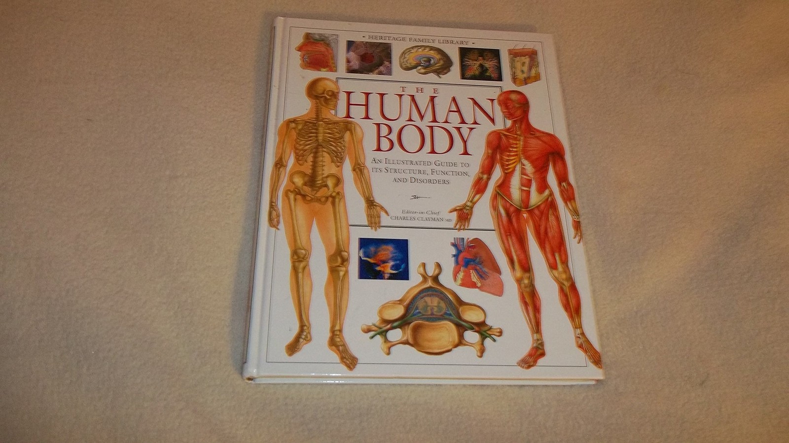 The Human Body (An Illustrated Guide to Its Structure, Function, and Disorde…