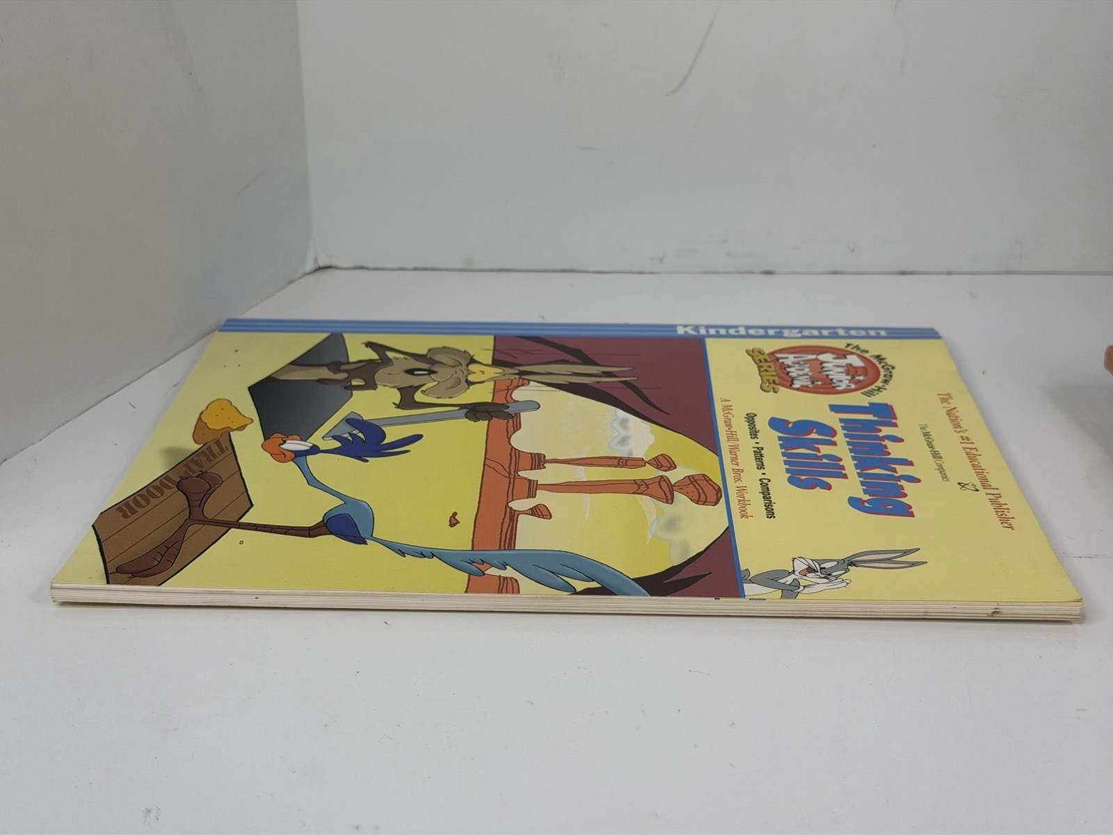 Warner Brothers Thinking Skills Kindergarten Workbook 1999 McGraw Hill New