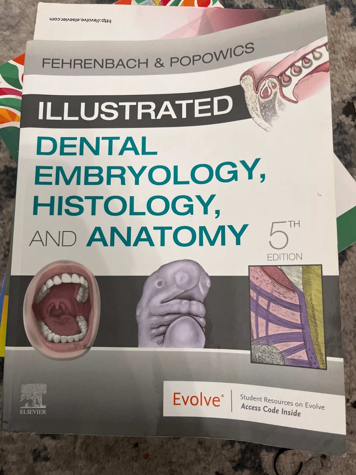 Illustrated Dental Embryology, Histology, and Anatomy by Margaret J. Fehrenbach