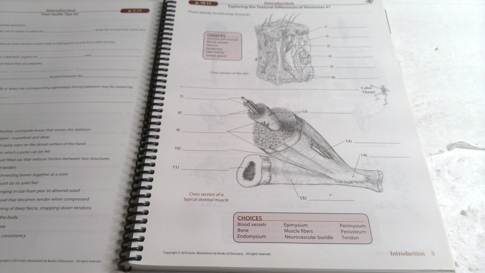 Trail Guide To The Body Student Workbook 4th Ed Andrew Biel Spiral Bound Anatomy