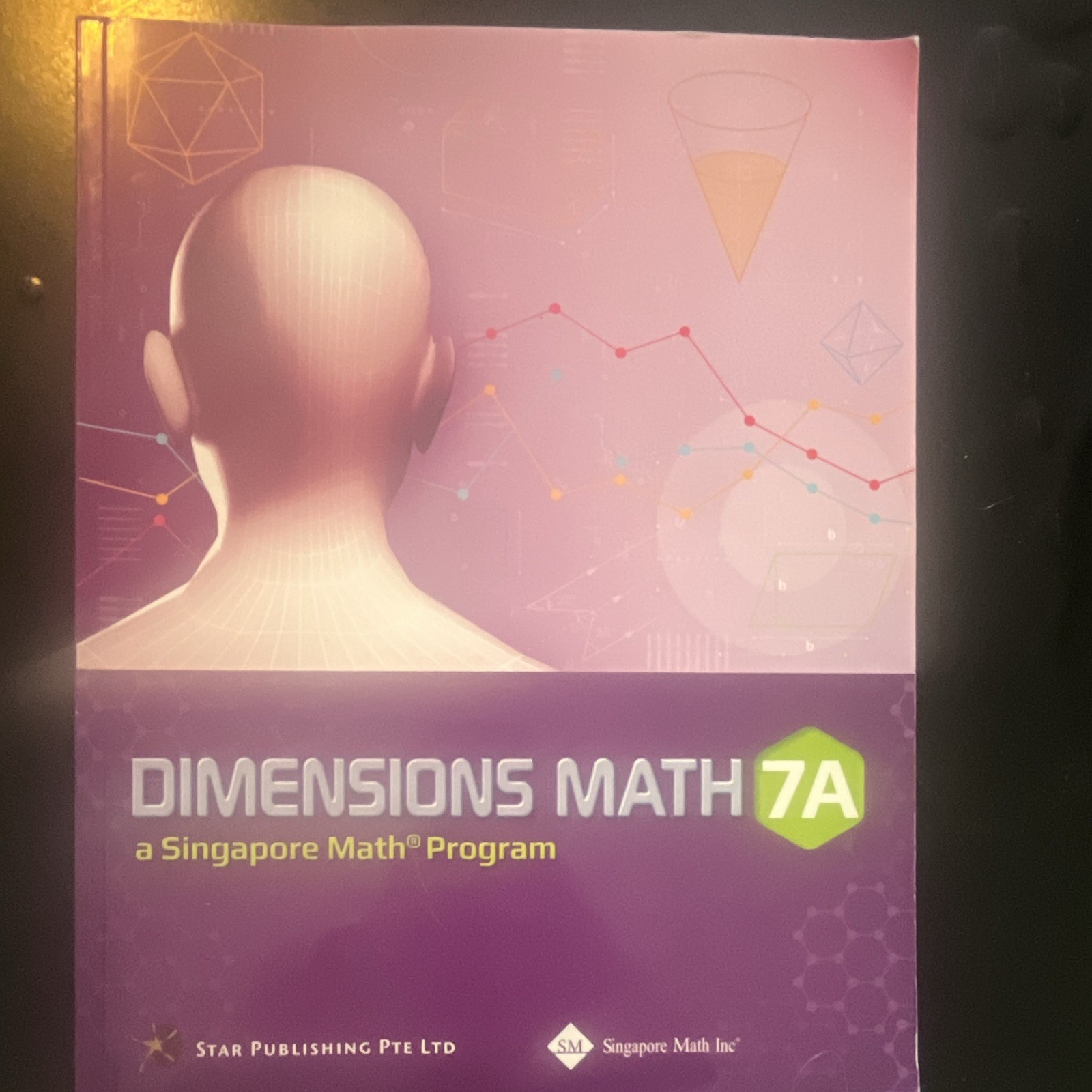 Singapore Math Dimensions Math 7A Textbook Paperback English Middle School Math