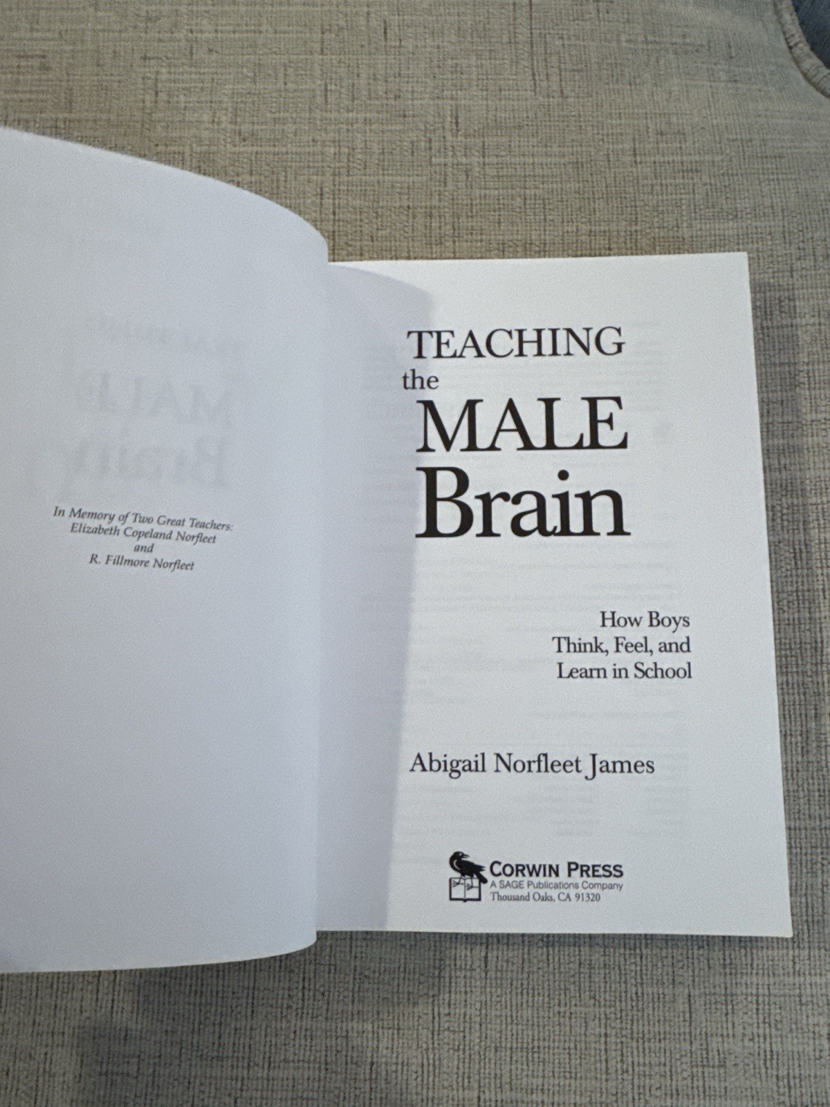 Teaching the Male Brain by Abigail Norfleet James 2007 Corwin Press Education