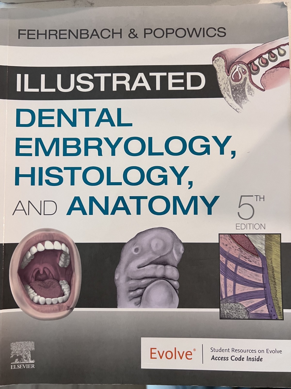 Illustrated Dental Embryology, Histology, and Anatomy by Margaret J. Fehrenbach