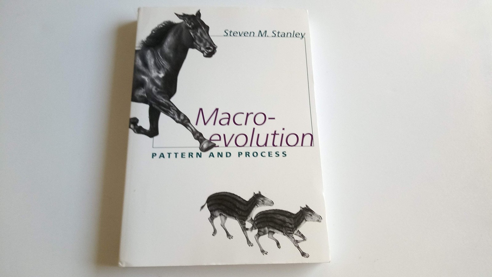 Macroevolution: Pattern and Process