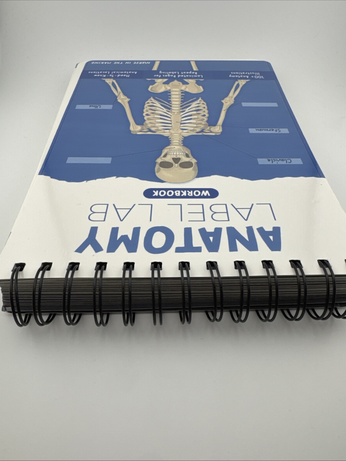 Human Anatomy Label Lab Workbook Medical Students 100+ Illustrations Laminated