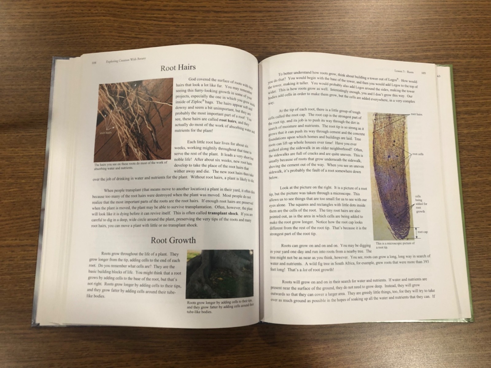 Young Explorer Series: Exploring Creation with Botany Textbook-Jeannie Fulbright