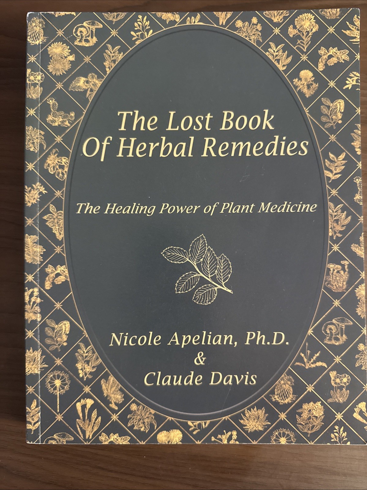The Lost Book of Herbal Remedies