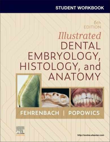 Student Workbook for Illustrated – Paperback, by Fehrenbach RDH MS – Very Good h