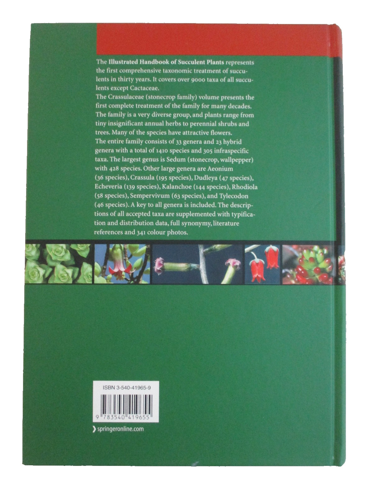Illustrated Handbook of Succulent Plants: Crassulaceae ~ Editor Urs Eggli HC (G)