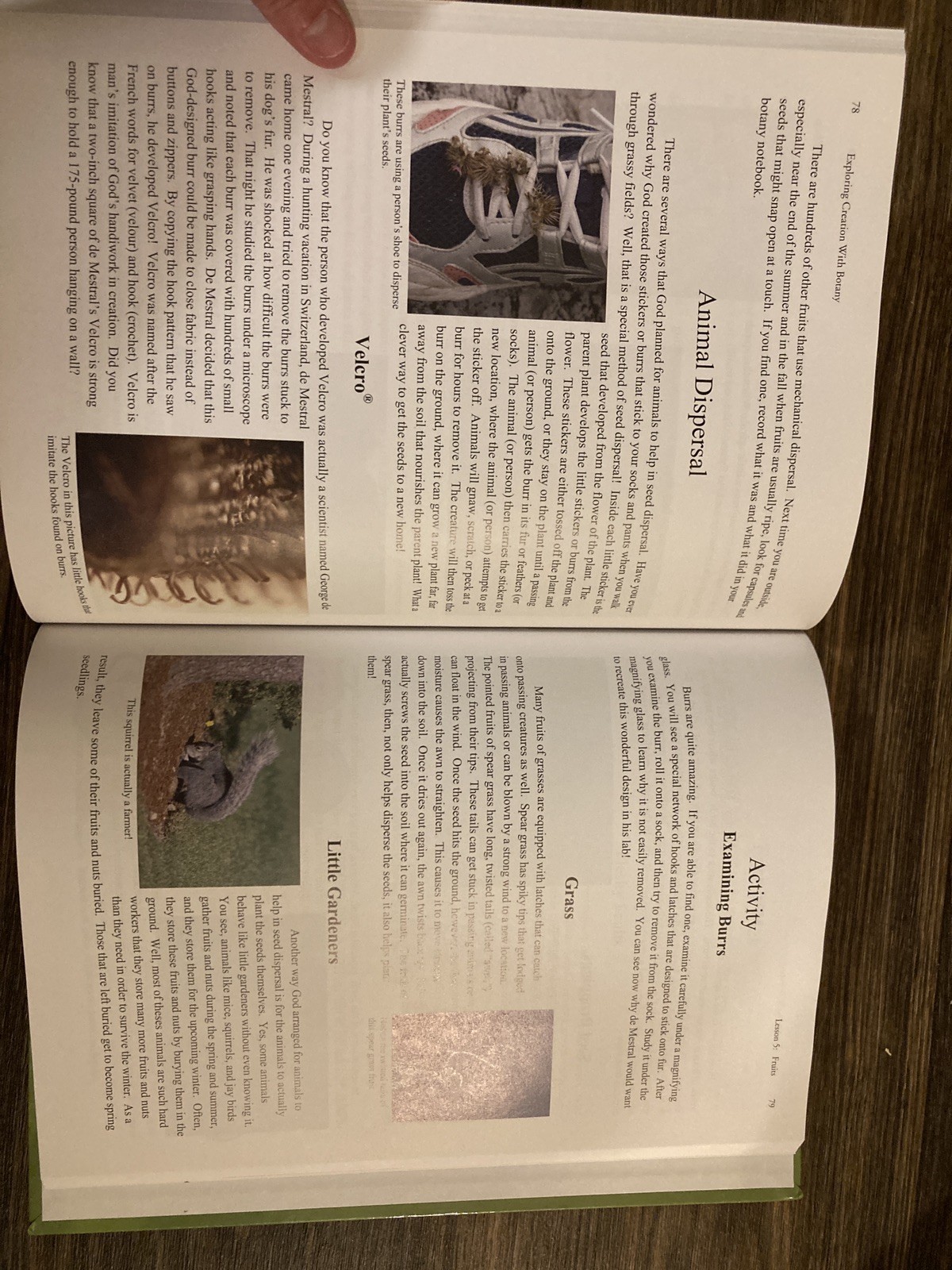 Apologia Exploring Creation with Botany Young Explorer Series Jeannie Fulbright