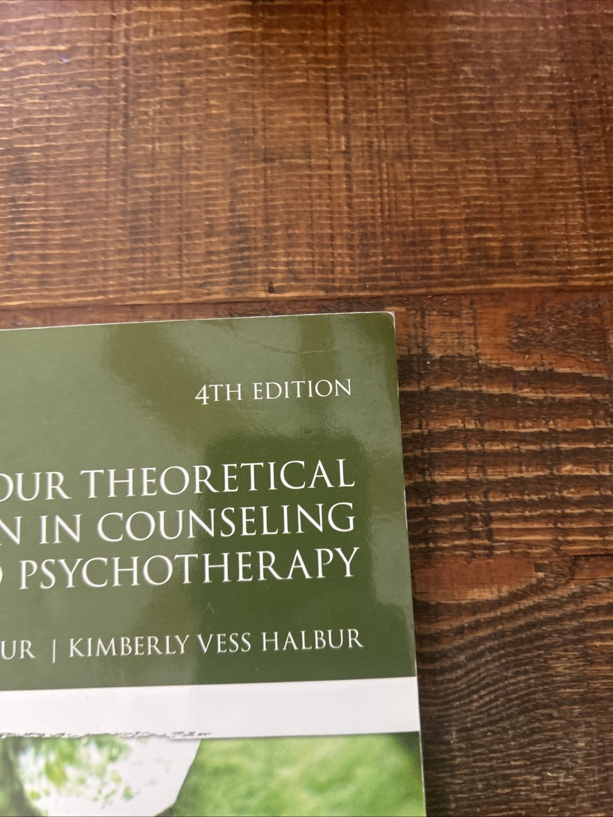 Developing Your Theoretical Orientation In Counseling And Psychotherapy