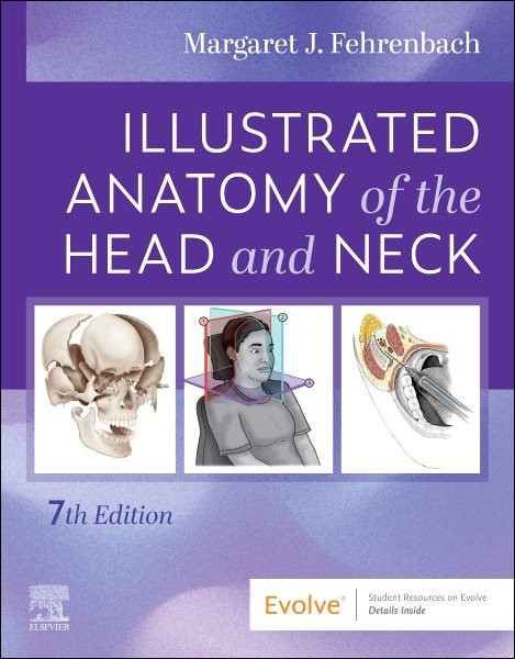 Anatomy of the Head and Neck, Paperback by Fehrenbach, Margaret J., Brand New…