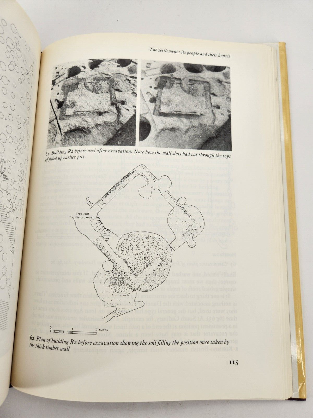 Danebury: Anatomy of an Iron Age Hillfort (Batsfo… by Cunliffe, Barry Hardback