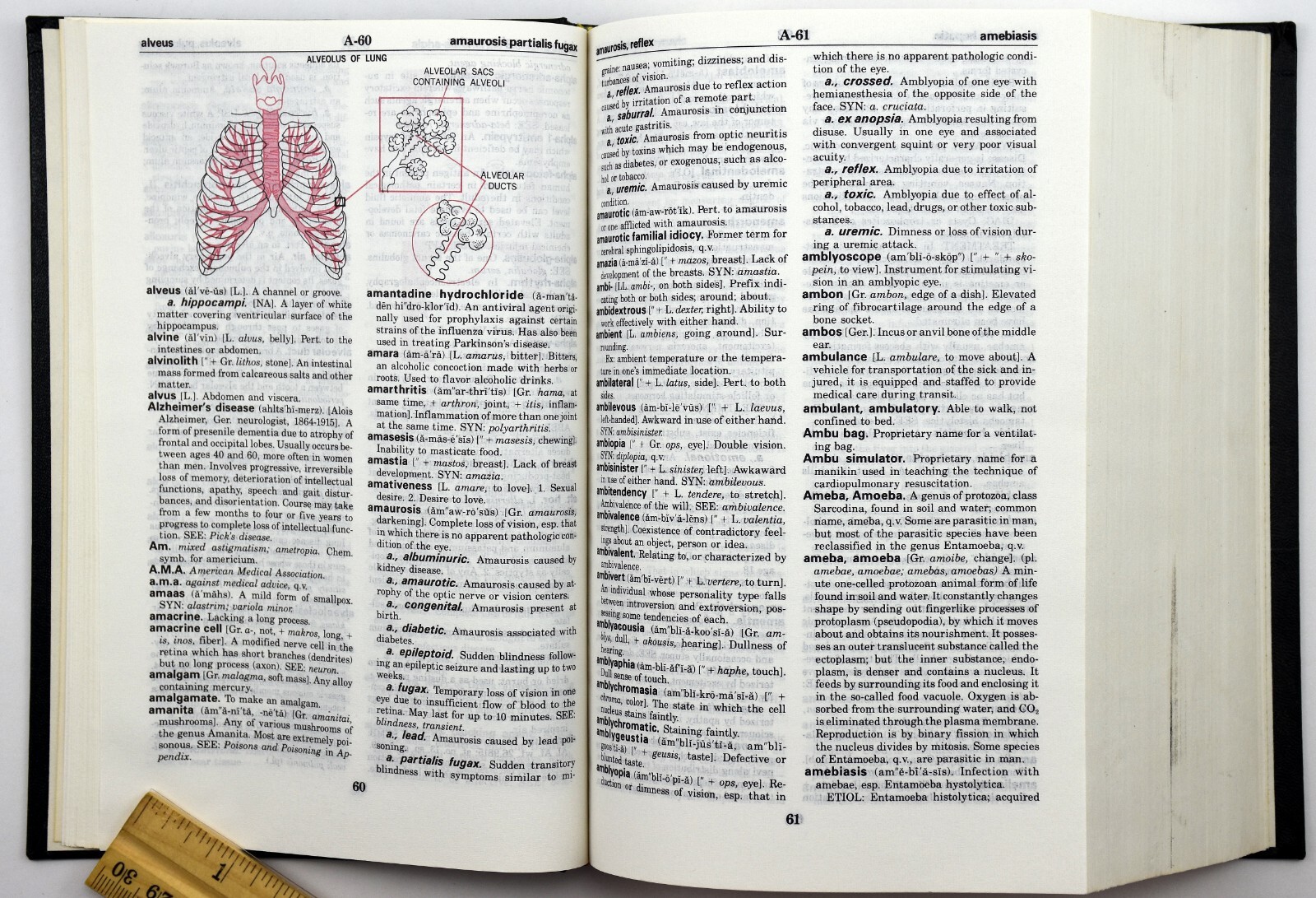 Taber’s Cyclopedic Medical Dictionary,14th Edition Illustrated Hardcover HC 1982