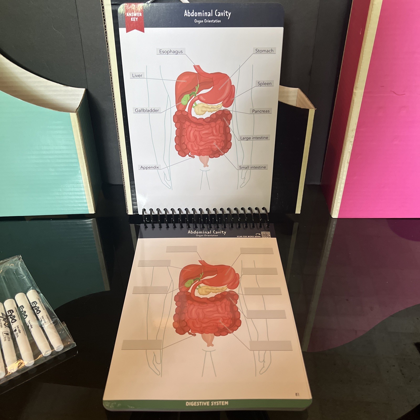 Nurse In The Making Anatomy Label Lab Workbook Laminated Spiral Bound